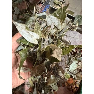 LÁ cây DÂM DƯƠNG HOẮC(lá,bó-300gr)