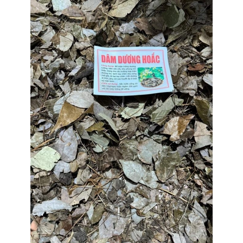 LÁ cây DÂM DƯƠNG HOẮC(lá,bó-300gr)