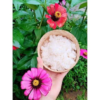 GẠO NẾP NƯƠNG ĐIỆN BIÊN(1kg)