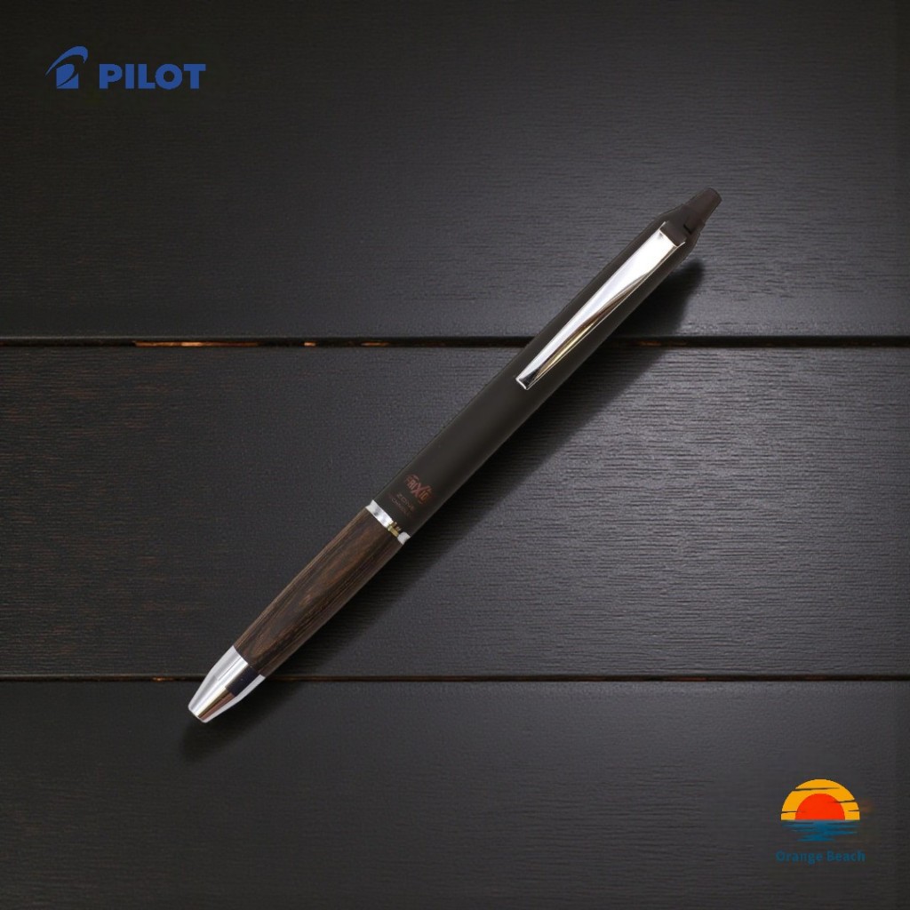PILOT FriXion Ball Knock Zone 05 LFBKZ-2SEF/Deep/0.5mm/grip van go/Zone Technology/Nhat Ban