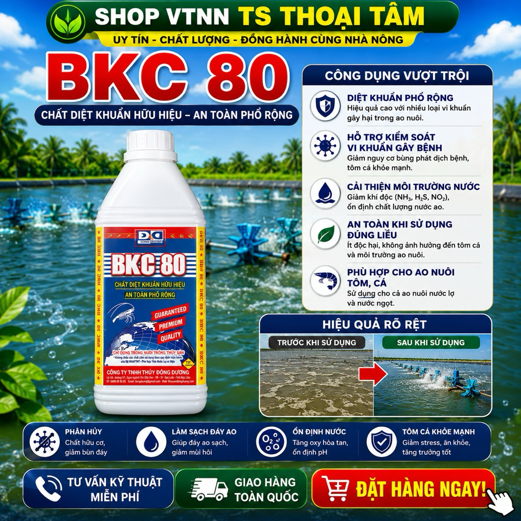 BKC 80 Chất diệt khuẩn hữu hiệu, an toàn phổ rộng
