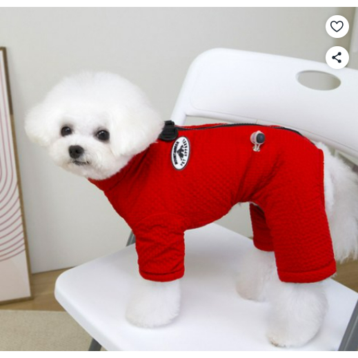 [Dingdong Pet] Bộ đệm dây nịt sợi nhỏ "thân thiện" Dingdong Pet All-in-One