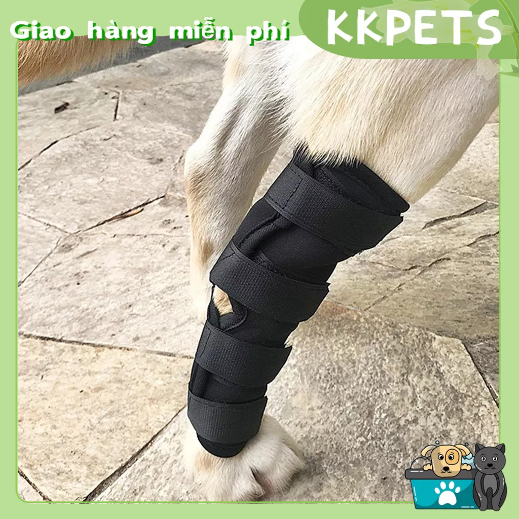 Nẹp chân chó đàn hồi có thể điều chỉnh Ngăn ngừa trượt nén bọc Bảo vệ hỗ trợ chân thú cưng cho chấn thương viêm khớp