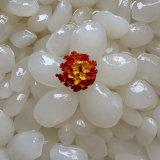 Vựa Đác Sài Gòn