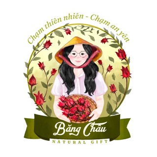 Hoa atiso đỏ - Băng Châu