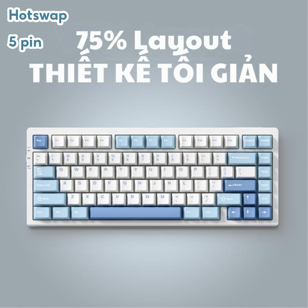 Bàn phím cơ không dây MCHOSE G75 - 3 mode - Led RGB - Gasket Mount - Mạch xuôi - Hotswap 5 pin