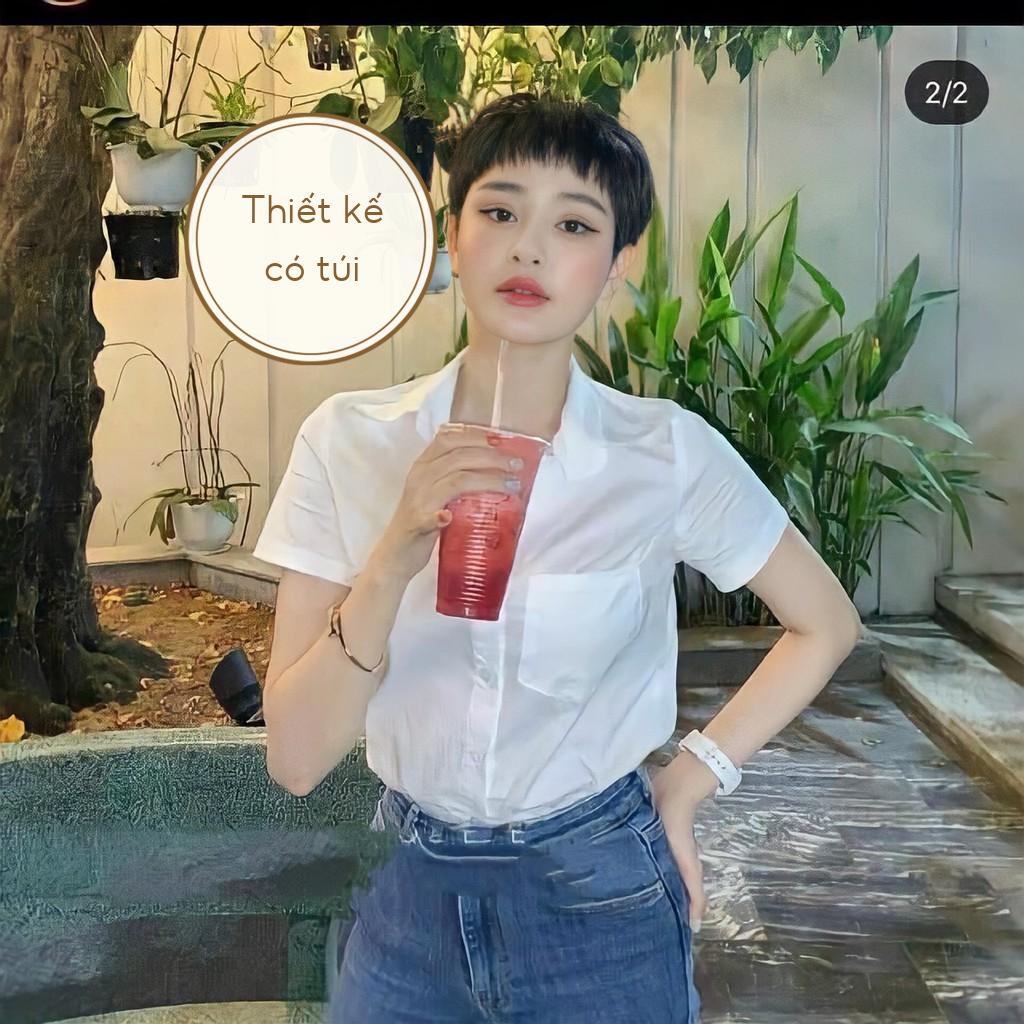 ÁO SƠ MI NỮ GU PURATO HIỀN HỒ NGẮN TAY CÓ TÚI HOTTREND MÀU TRẮNG, XANH NHẠT, XANH BẠC HÀ sơ mi trắng nữ