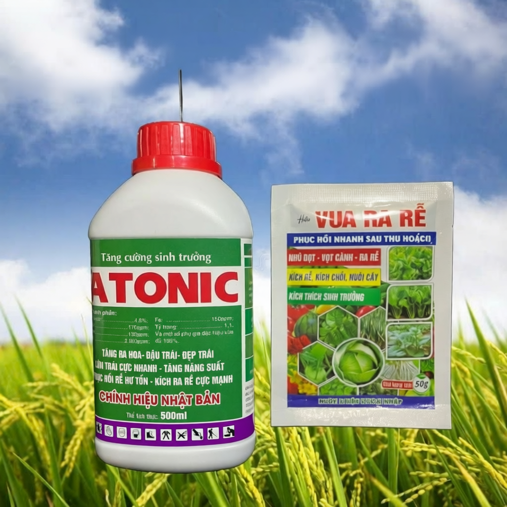 ATONIC 500ML  KÍCH RỄ MẠNH VÀ 1 gói VUA RA RỄ 50GR TẠO CƠI, BẬT CHỒI