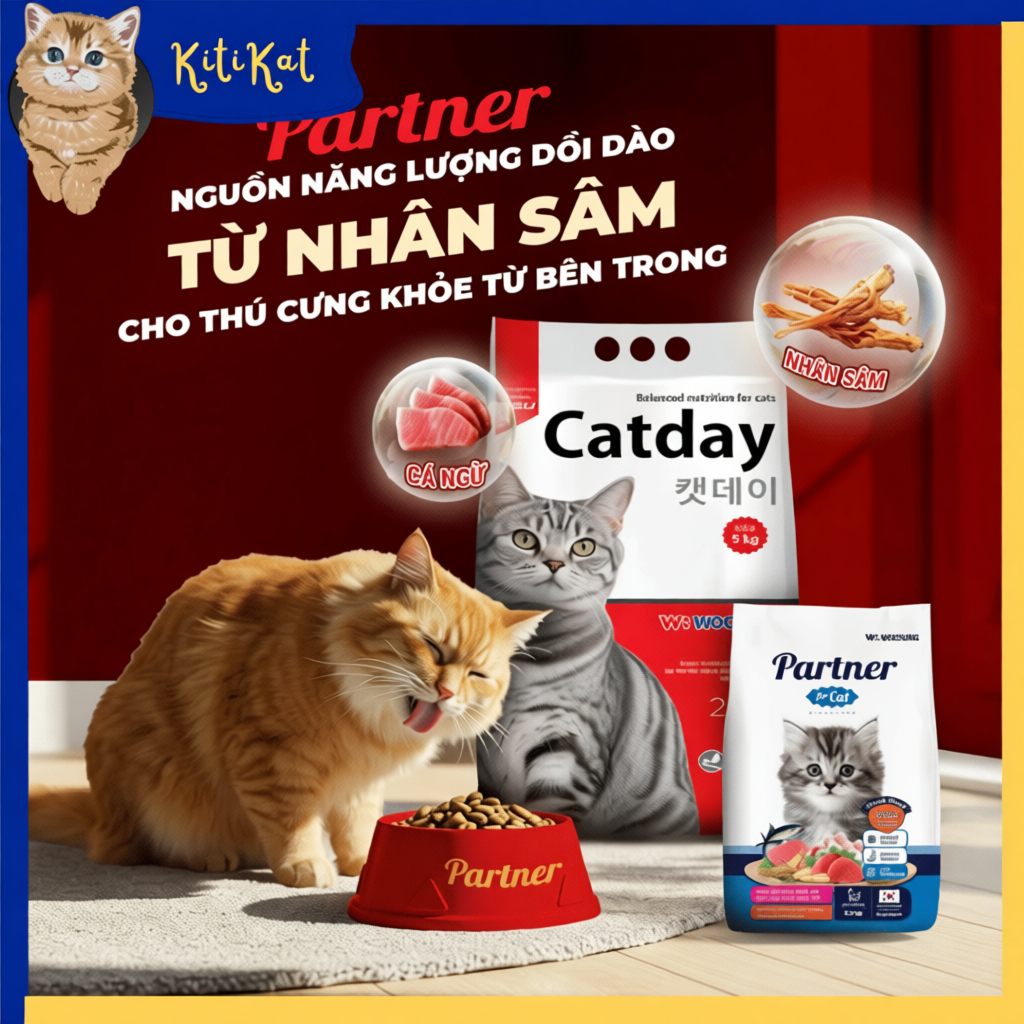 Hạt dinh dưỡng cho mèo CATDAY 5kg - hồng sâm tăng đề kháng, không chất bảo quản, mèo khỏe mạnh