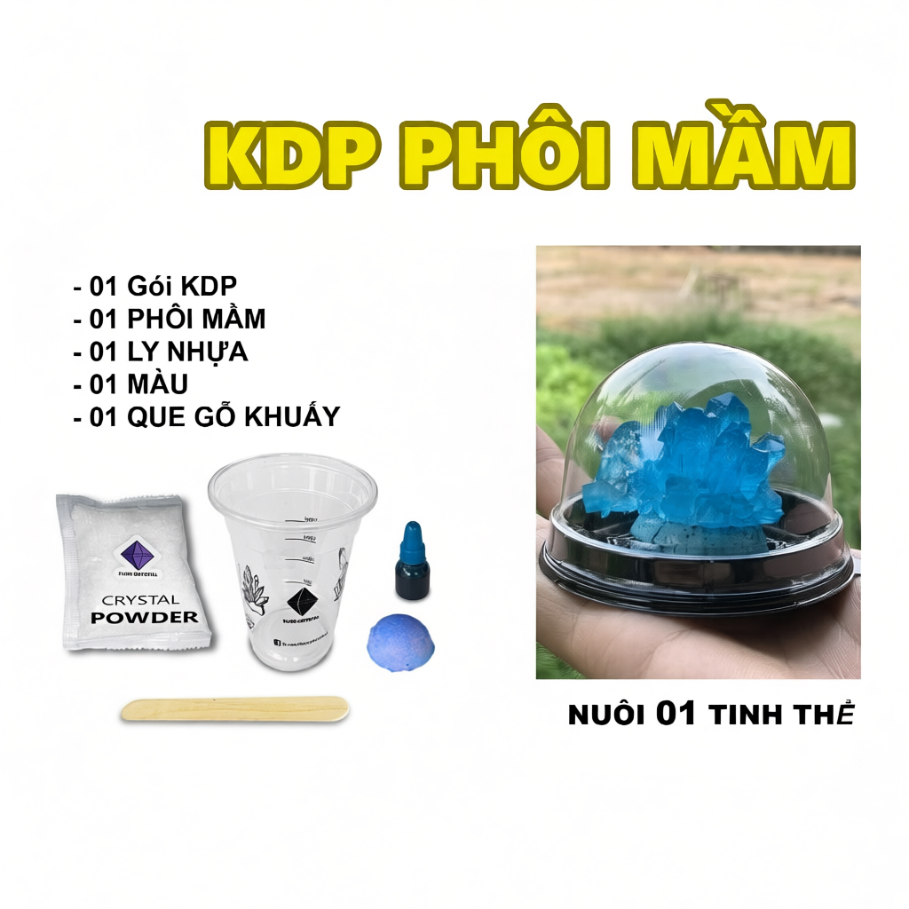 Phôi mầm bộ nuôi tinh thể KDP KH2PO4 (có hướng dẫn)
