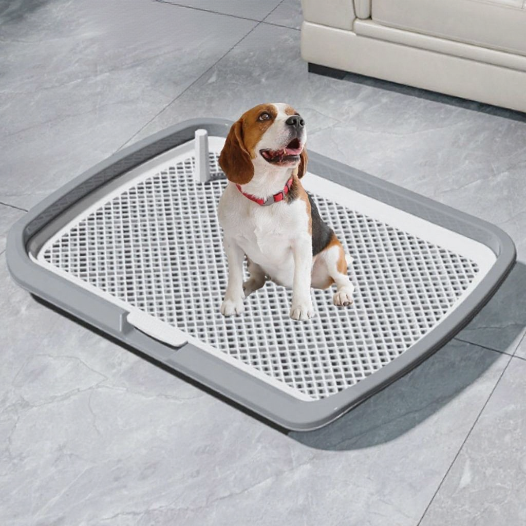 Khay vệ sinh cho chó kích thước lớn siêu to Hoshi Pet KC08