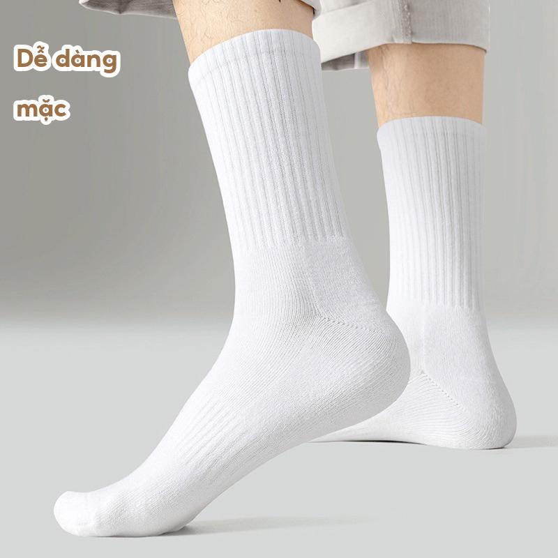 Sét 10 đôi Tất  trắng đen nam nữ cổ cao cổ trung cổ ngắn chất liệu cotton