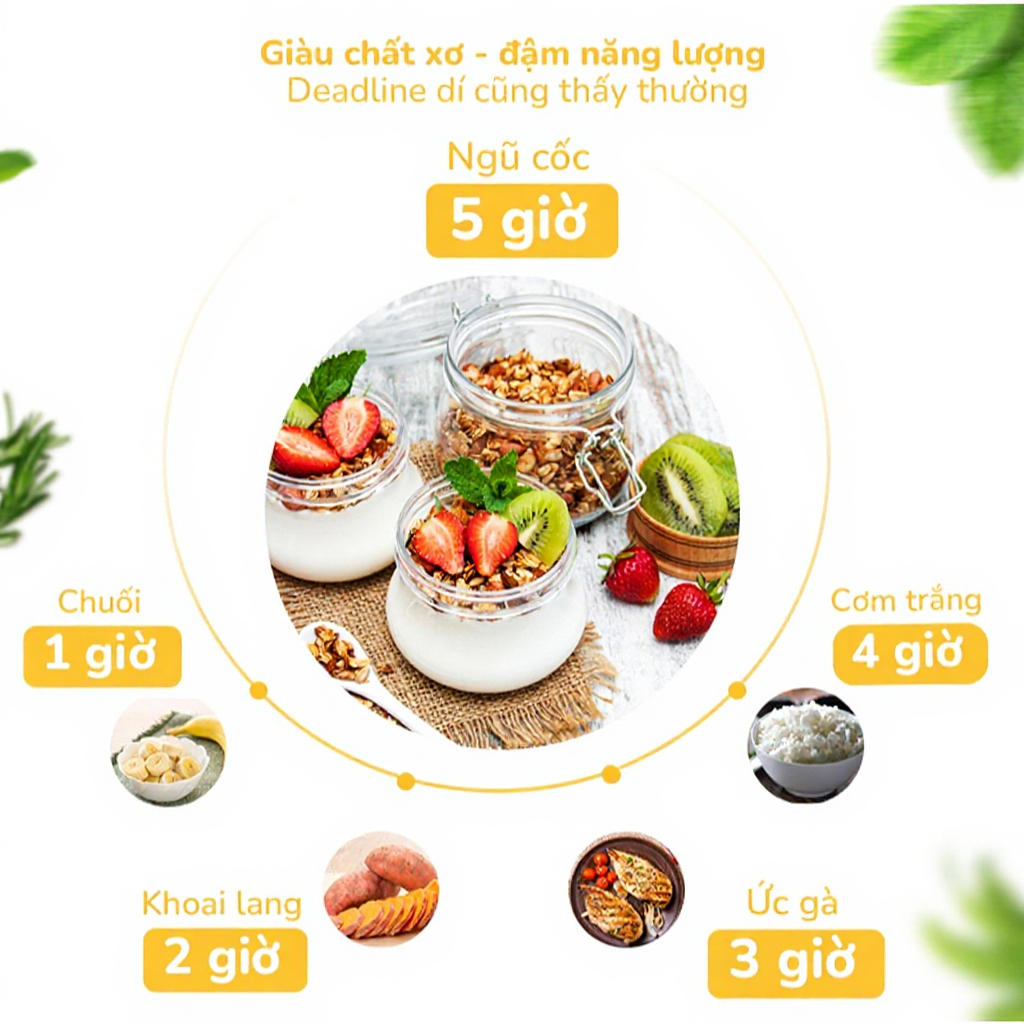 [FULL 5 VỊ] Ngũ Cốc Granola Mix Sữa Chua Sấy Khô Siêu Ngon Befresco 300G (Việt Thái Organic)