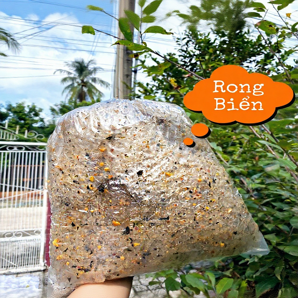 [500gr] Bánh Tráng Rong Biển Bánh Tráng Tây Ninh