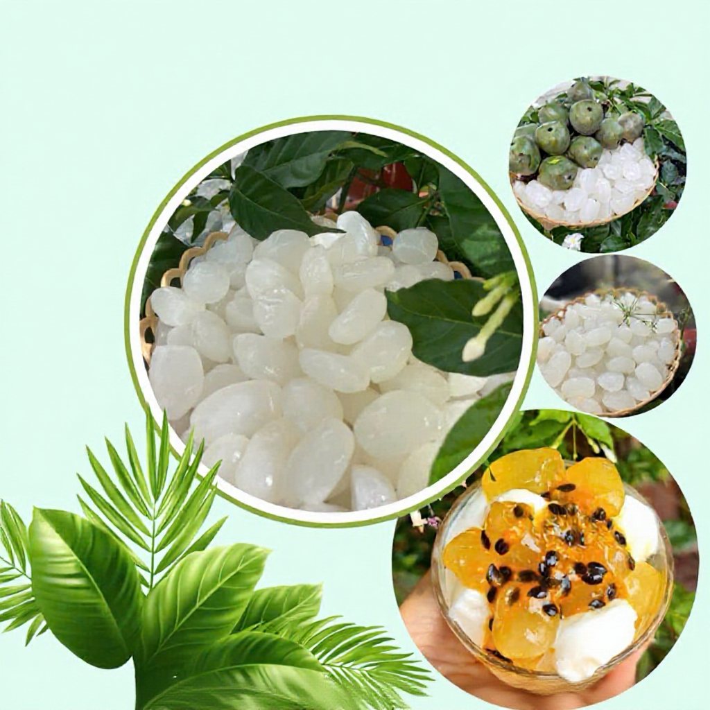 1kg Hạt Đác Tươi Size Trung Dẻo Thơm, Dùng Nấu Chè Làm Topping Trà Sữa - Hút Chân Không