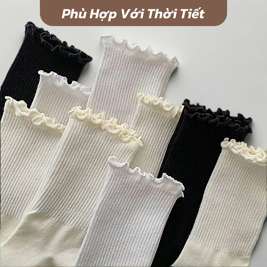 Set 5 đôi tất cao cổ cao cấp họa tiết cổ bèo Q4