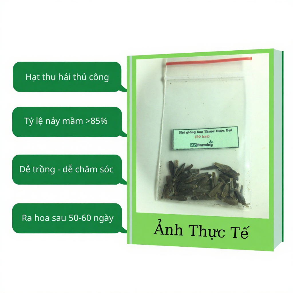 Hạt Giống Hoa Thược Dược Bụi  - 50 Hạt - AZ Farming