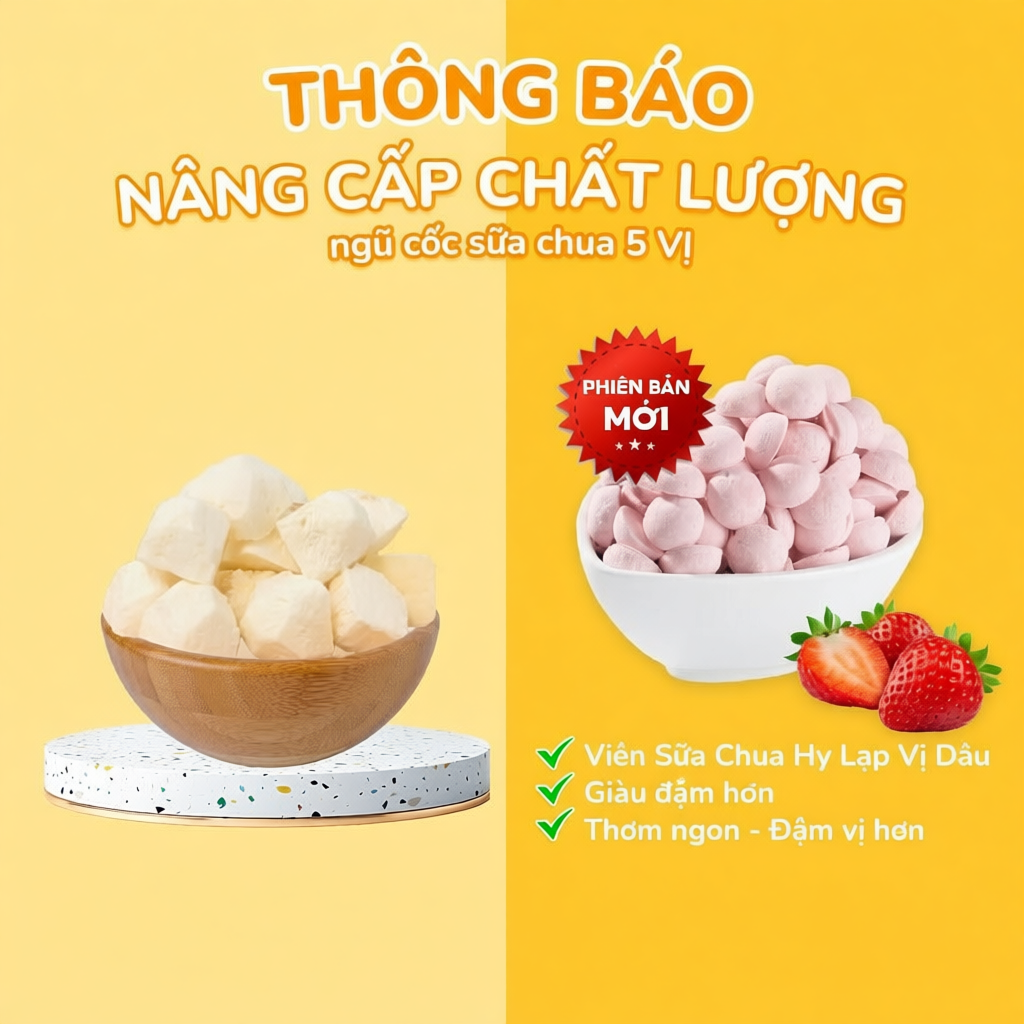 [FULL 5 VỊ] Ngũ Cốc Granola Mix Sữa Chua Sấy Khô Siêu Ngon Befresco 300G (Việt Thái Organic)