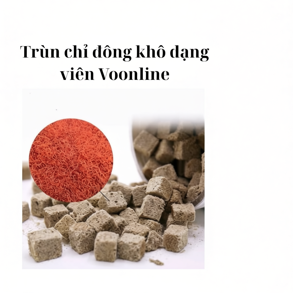 10 Viên Lẻ Trùn Chỉ Đông Khô Voonline