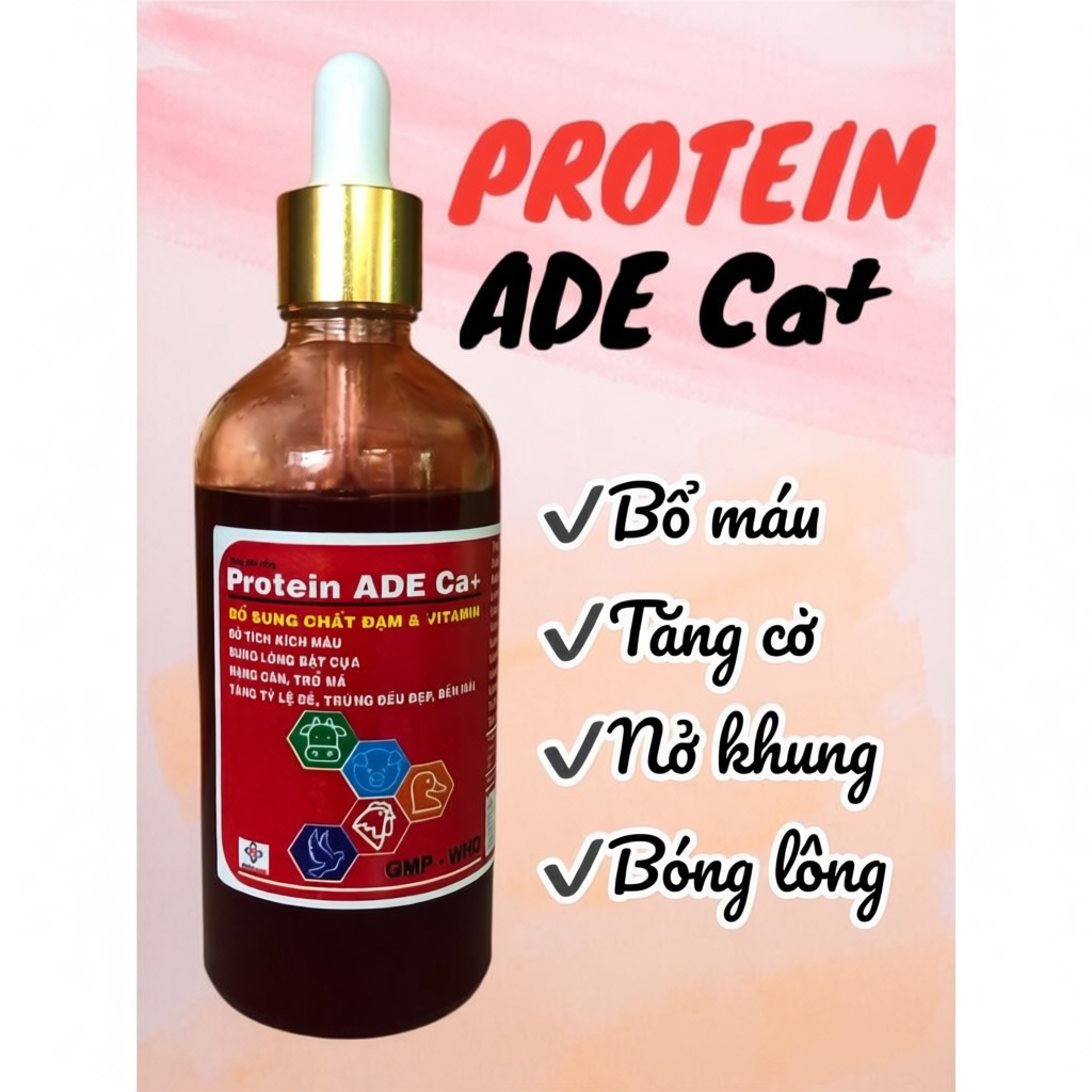 PROTEIN ADE CA+ - Nuôi gà tơ - Chai chiết 50ml và 100ml