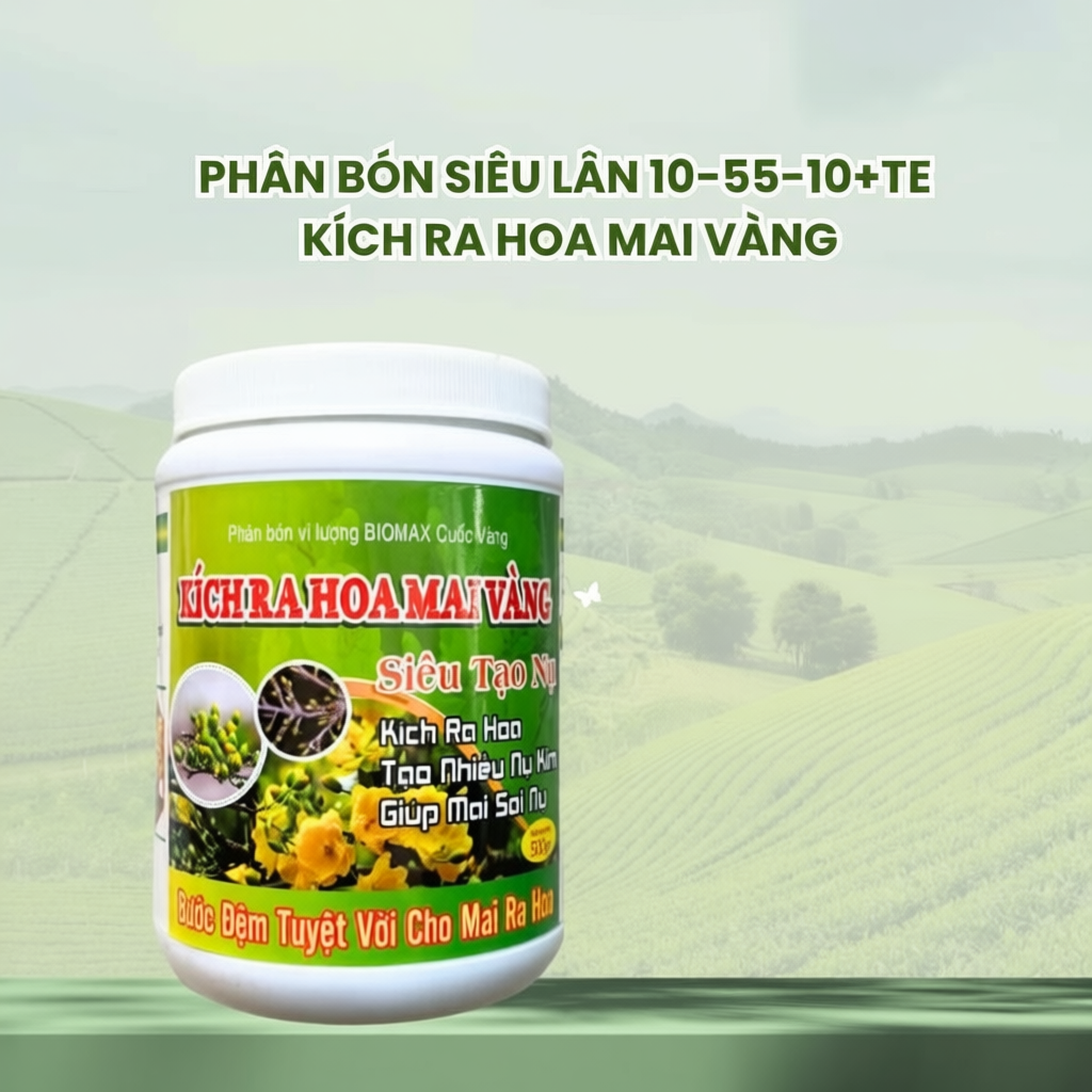 Phân Bón Kích Ra Hoa Mai Vàng Siêu Lân 10-60-10