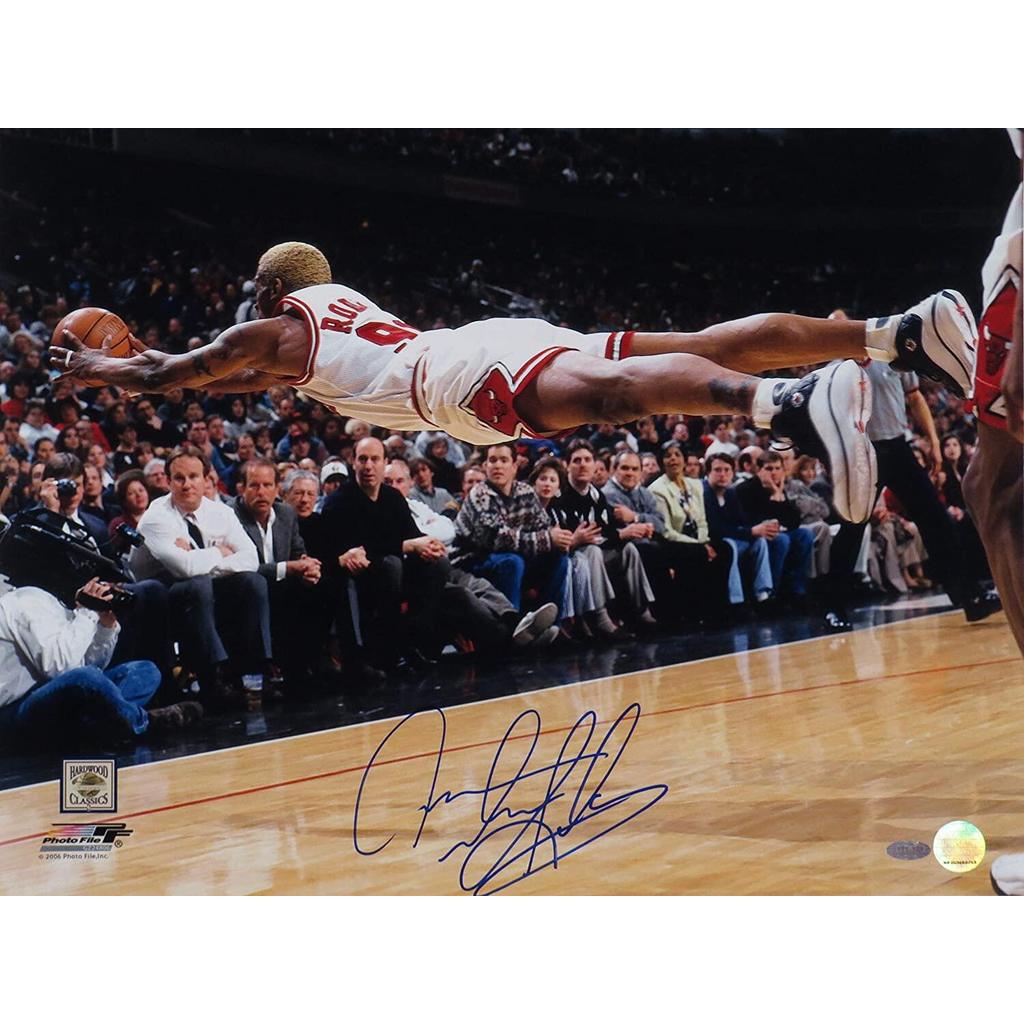 Poster cao cấp Dennis Rodman Fly Chicago Bulls × Inch