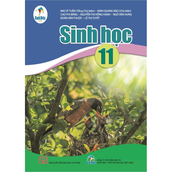 Sách - Sinh học 11 (Cánh Diều)