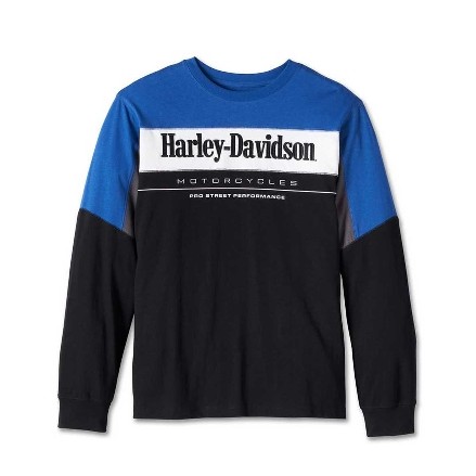 Áo thun Harley-Davidson