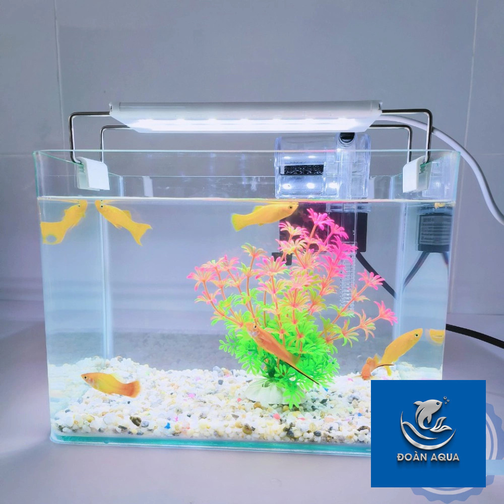 ( hỏa tốc HCM) Bể cá mini Đúc uốn cong kích thước 30x17x20 kèm sỏi nền và cây nhựa Siêu rẻbảo hành v