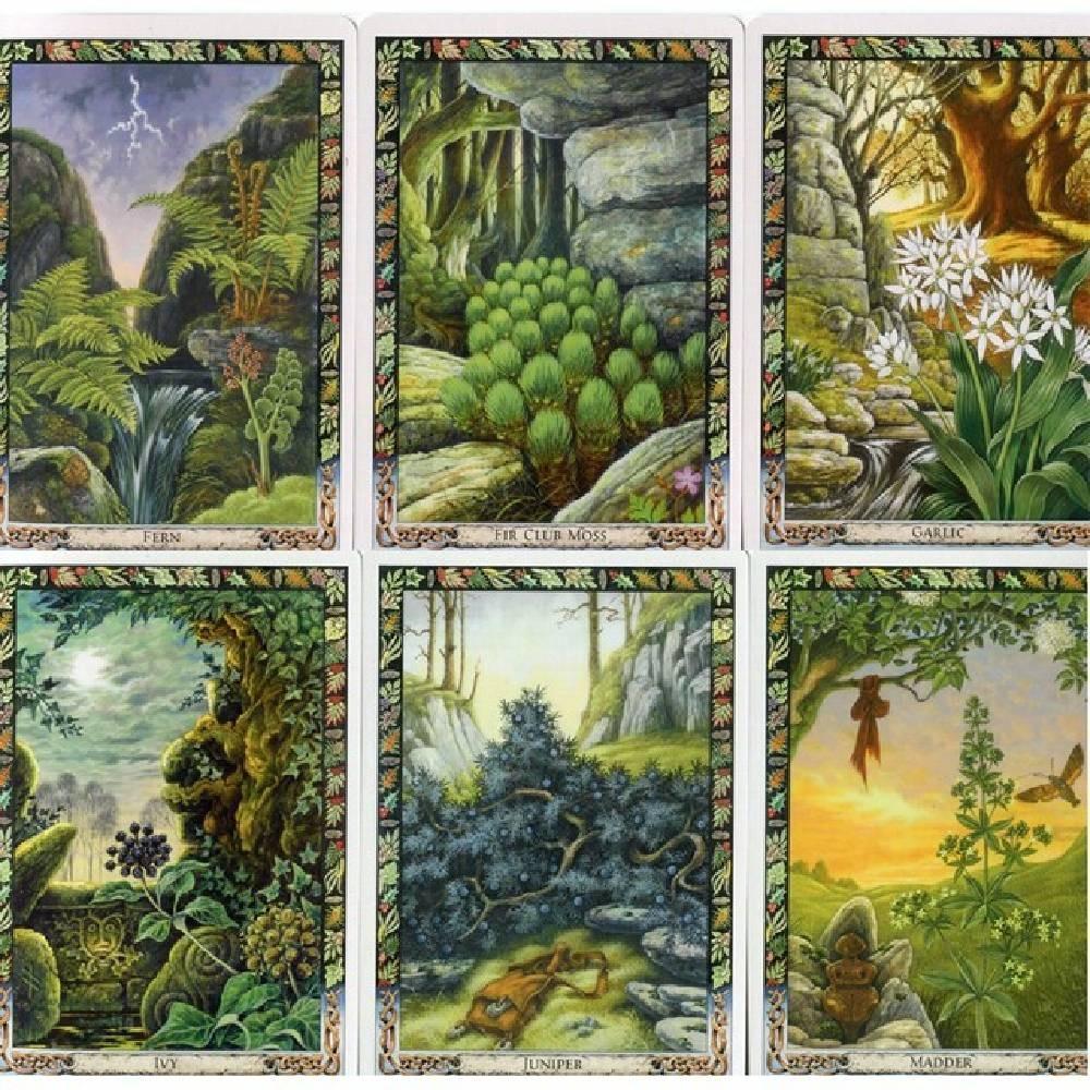 10.4 * 7.3cm The Druid Plant Oracle: Làm việc với thực vật ma thuật của truyền thống Druid 36 chiếc 