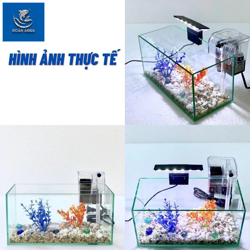 ( Hỏa tốc HCM) Bể cá mini COMBO ĐẦY ĐỦ, Hồ cá mini 30x20x20 đầy đủ tặng kèm phụ kiện trang trí( V)