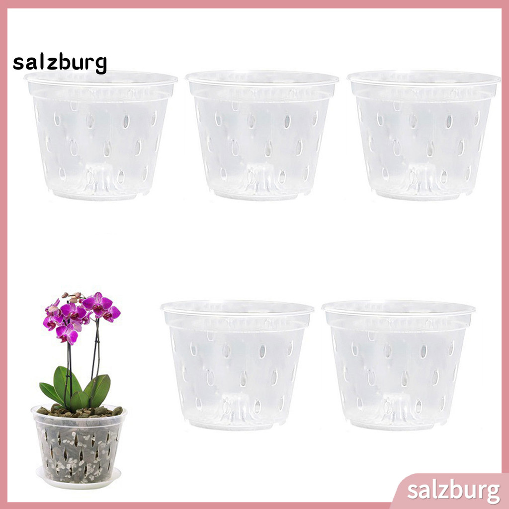 Salzburgstore Chậu hoa lan trong suốt Chậu hoa lan có thể tái sử dụng có lỗ Chậu trồng thông gió bằn