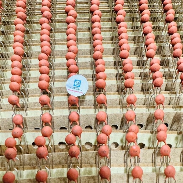 TÚI 10 CHIẾC Tụ gốm 22 22pF 100V hàng chính hãng