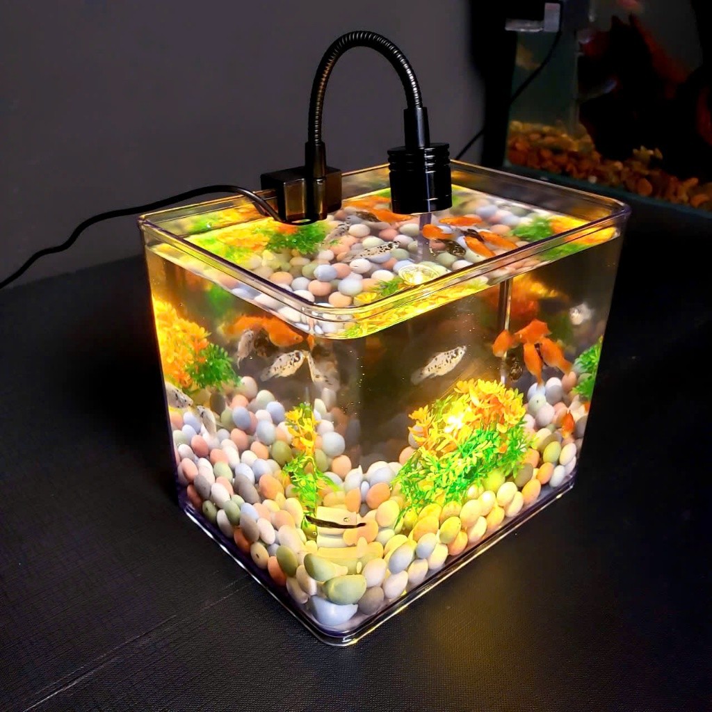 TRỌN BỘ BỂ CÁ MINI BỂ CÁ BETTA NHỰA ĐÚC 18X13X15 CM ĐỂ BÀN LÀM VIỆC, BÀN HỌC, SIÊU ĐẸP