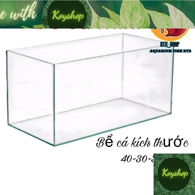 ( Hỏa tốc 2h ) Bể cá cảnh mini để bàn kích thước 40-30-30 KOY Aquarium