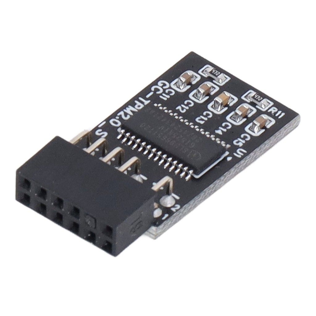 TPM 2.0 Mô-đun LPC SPI 12Pin Thẻ Từ Xa Mã Hóa Bảng Bảo Mật Phụ Kiện Cho GIGABYTE