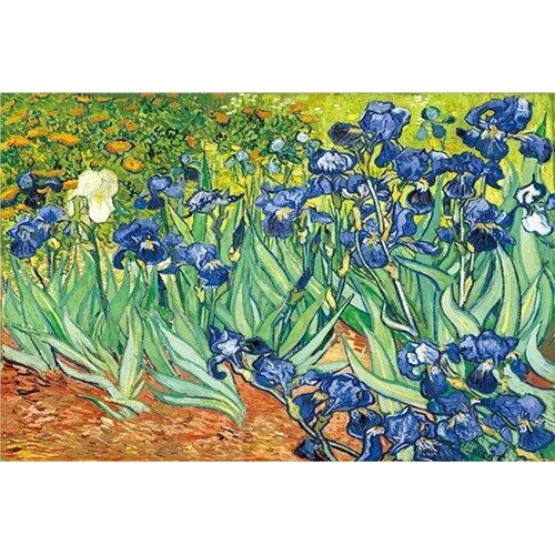 Vince Van Gogh Garden Iris Tranh sơn dầu tái tạo trên áp phích vải và bản in Tường Scandinavia