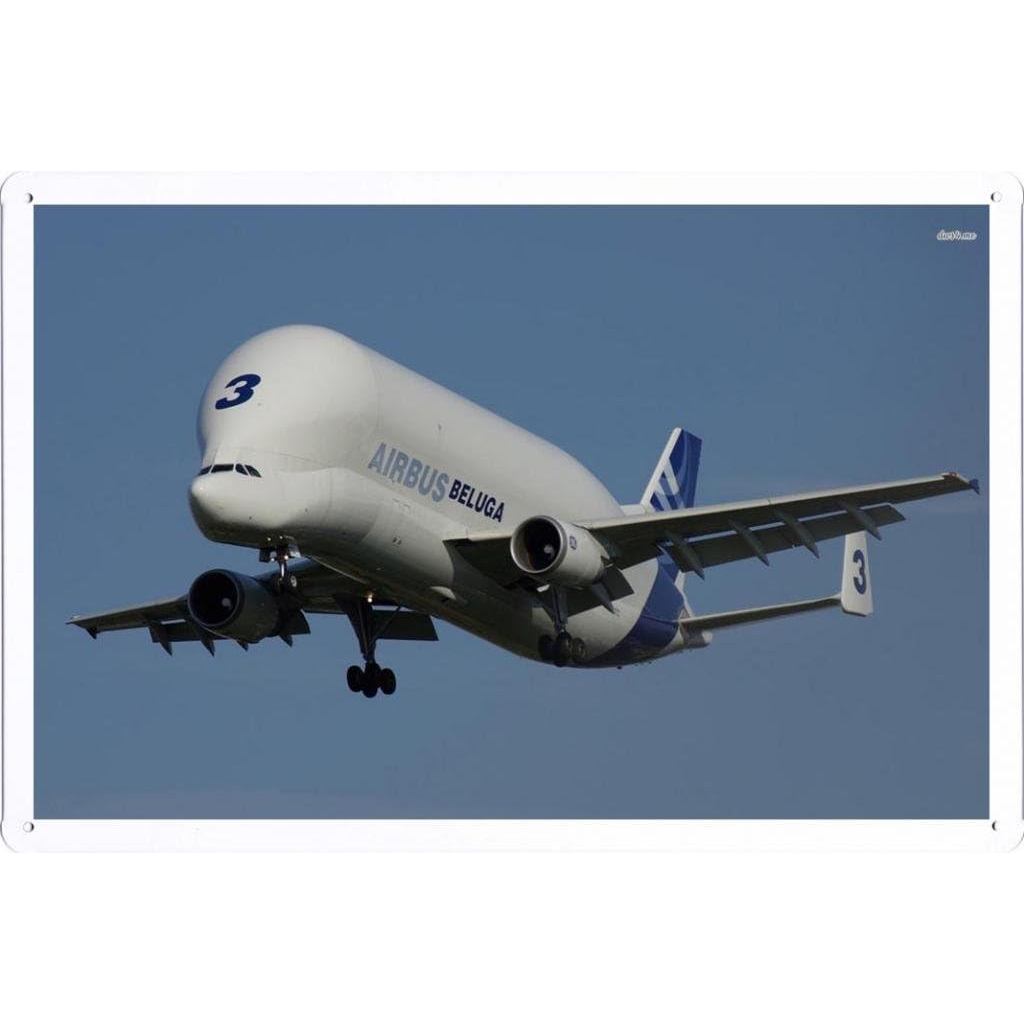 Dấu hiệu máy bay Airbus Beluga của Wallers Decor