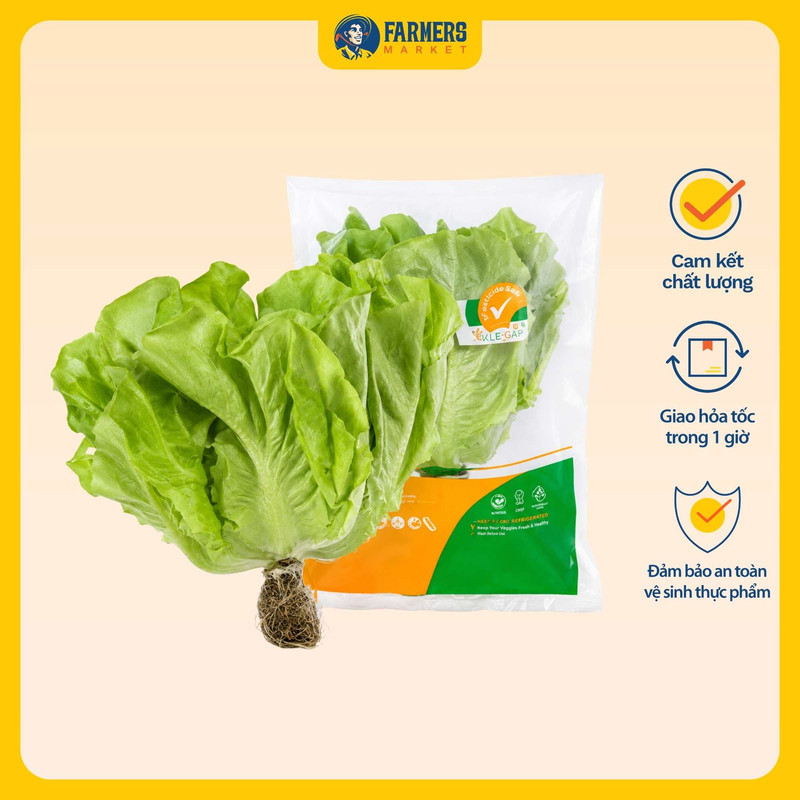 Xà lách mỡ thủy canh Globalgap Hasfarm 500g (I0008733)