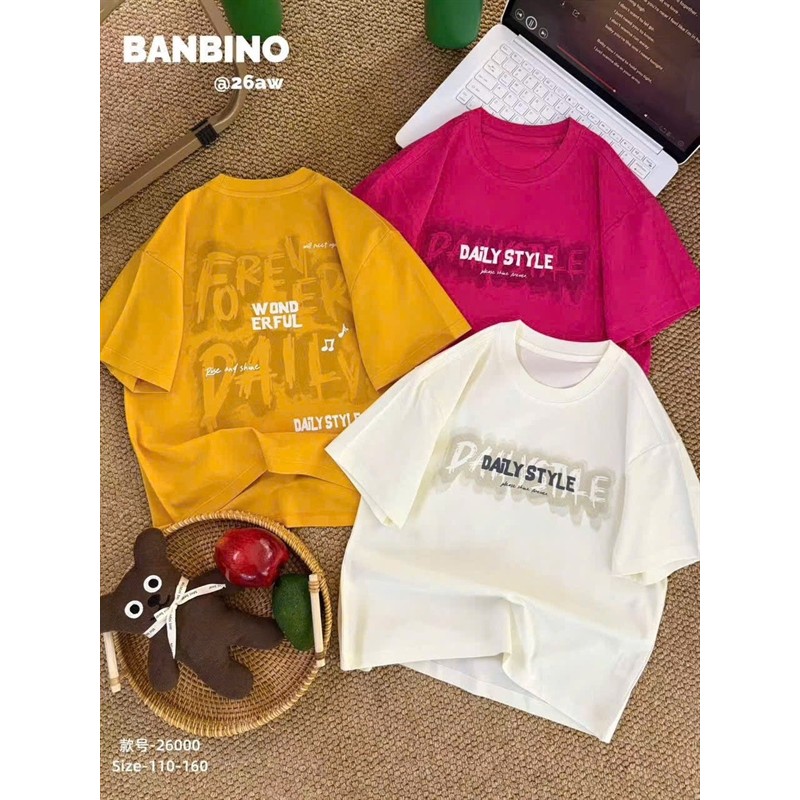 H26/Phông banbino 26000