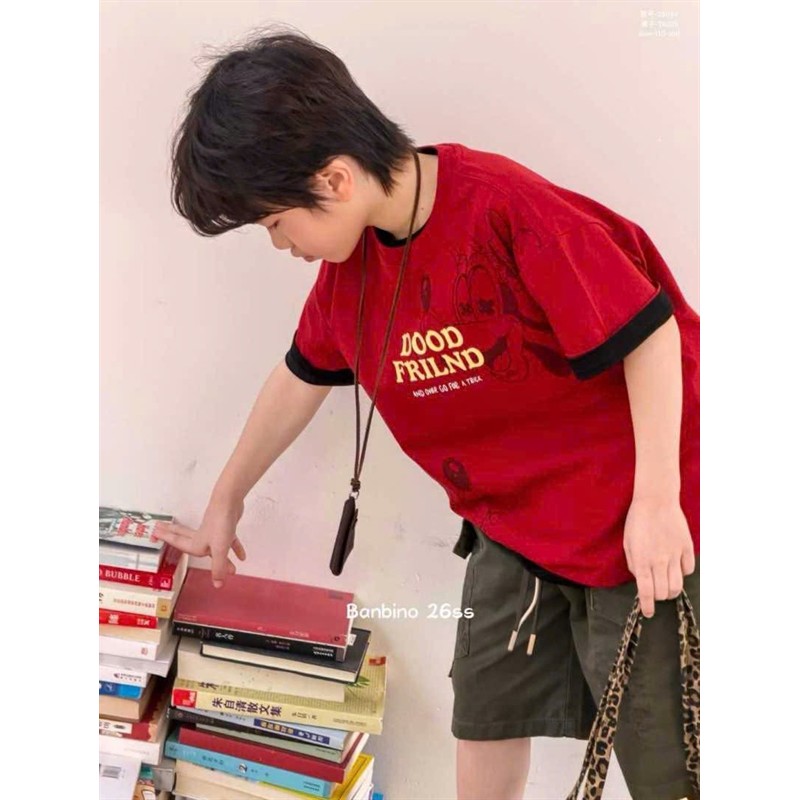 H26/ phông banbino 26080