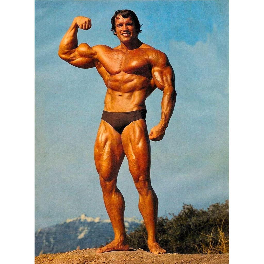 Arnold Schwarzenegger Tập Thể Hình Olympia Universe Conquer Cổ Điển Thể Thao Poster Home Deco 0508