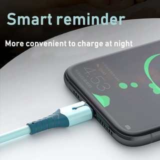 Cáp đèn Led silicon lỏng siêu nhanh Micro - USB 5A cho dữ liệu USB IP Android