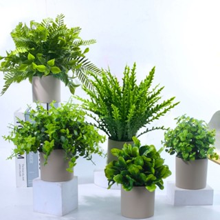 Nhân Tạo Babysbreath Hoa Cây Cảnh Nhỏ Mô Phỏng Nồi Cây Hoa Giả Bàn Văn Phòng Chậu Đồ Trang Trí Trang Trí Sân Vườn