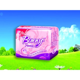 Miếng lót mẹ sau sinh mama Bonny KB37