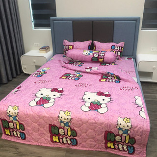 Bộ 3 món ga giường + 2 vỏ gối chất cotton poly bền đẹp nhiều màu mềm mát CH223