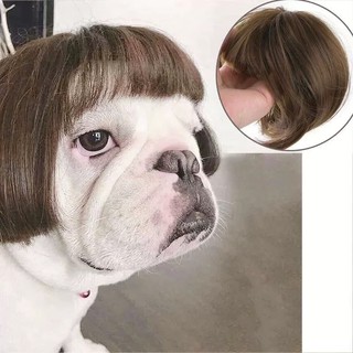 Đa Năng Thú Cưng Tóc Giả Trang Phục Hóa Trang Ngộ nghĩnh Chó Mèo Tóc Đảng Chụp Ảnh Halloween Giáng Sinh Đạo Cụ Quà Tặng