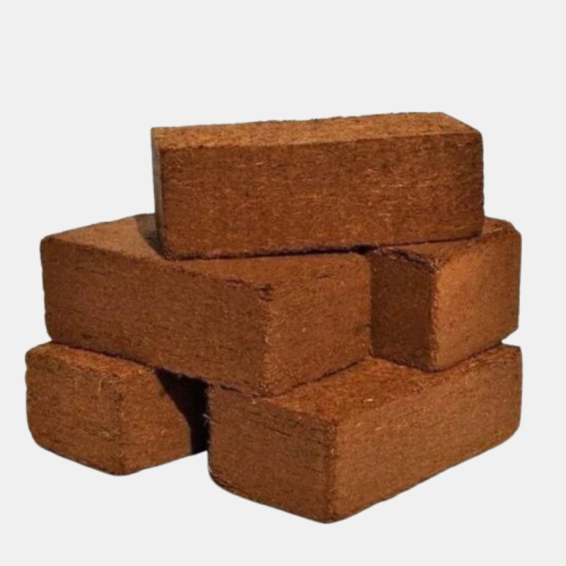 Combo 5 viên nén xơ dừa hữu cơ Choice LS1-0576-5 đất trồng cây tiện ích