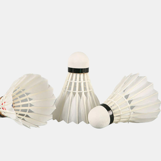 Hộp cầu lông 10 quả choice việt nam lc-08