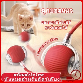  Bóng đồ chơi thú cưng sang trọng tự giải phóng cho mèo và chó Giảm bớt sự nhàm chán với niềm vui 